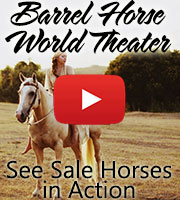Barrel Horse World Videos